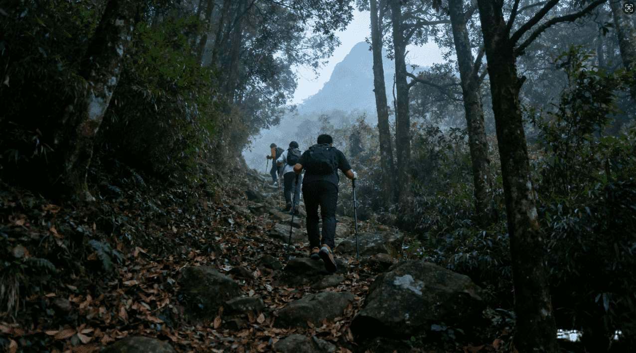 如何在iOS设备上快速安装坚果加速器